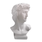 Loja Capricho Resina - 0049 Escultura e Vaso Decorativo David Michelangelo